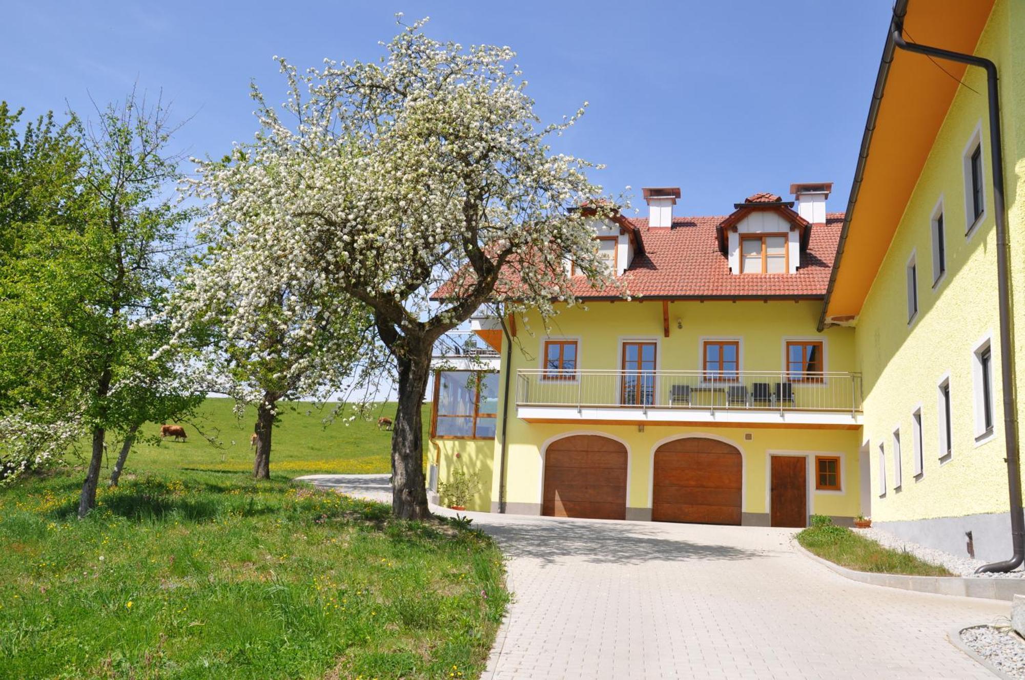 Ferienwohnung Mayrhofer Hofkirchen im Muehlkreis Экстерьер фото